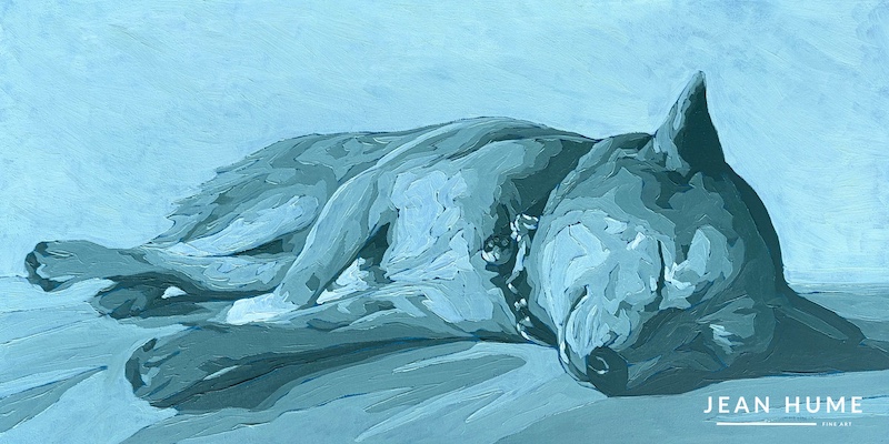 Puppy Dreams
